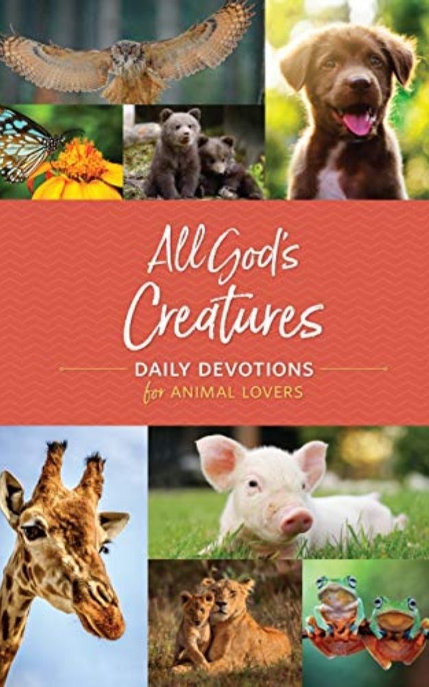 contributing book covers (2)